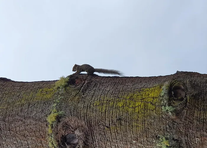 Pousada Recanto dos Moinhos - Panorâmica