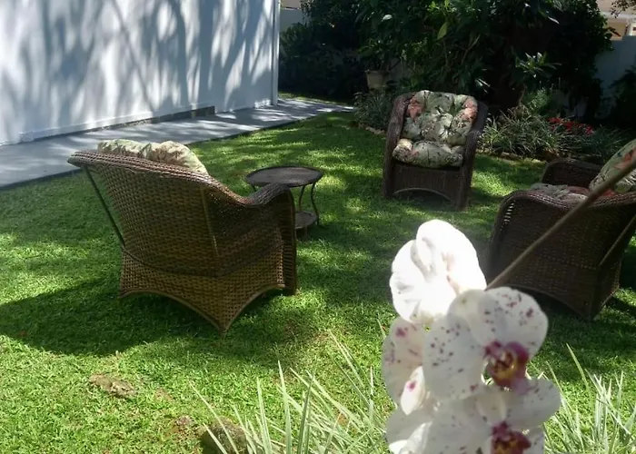A Primeira Vista