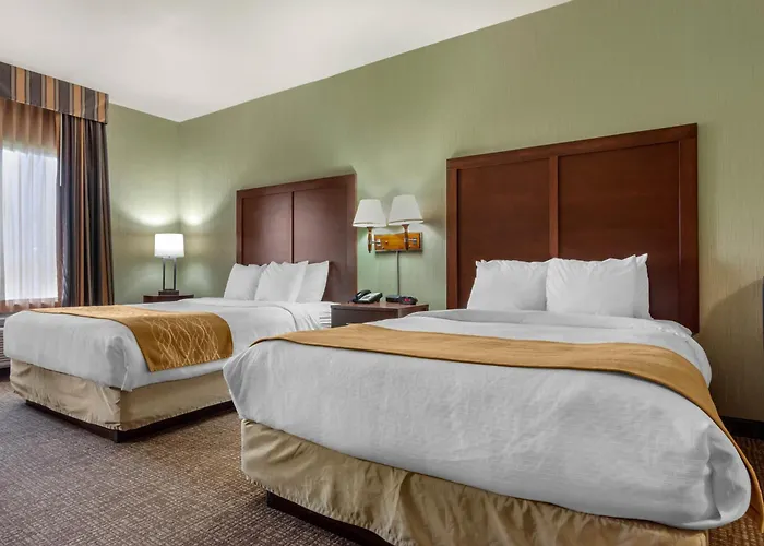 Comfort Inn & Suites