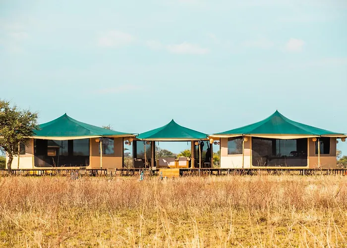 Pori Pori Lodges & Camps