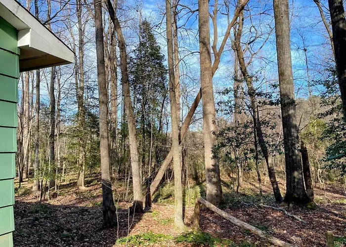 Little House In The Woods