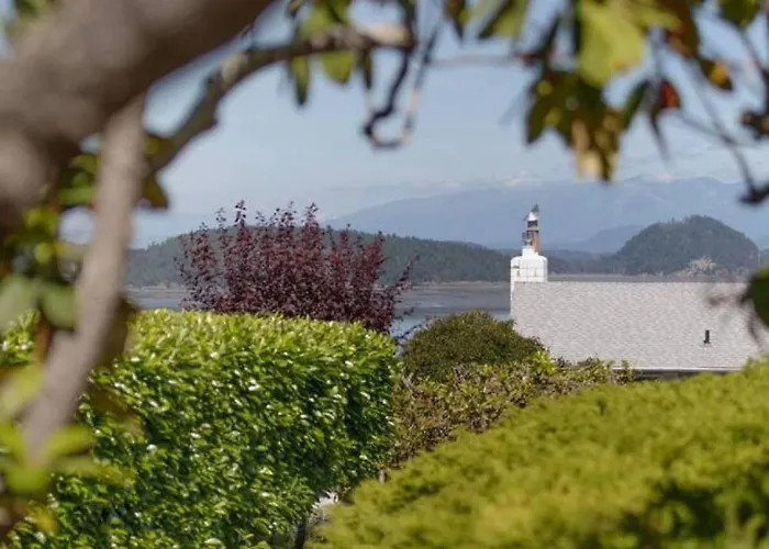 Cozy Garden 4Br1Ba Lower Unit Ocean Mountain Views With Doggies Ev Charging