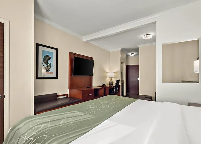 Comfort Suites Corpus Christi Central