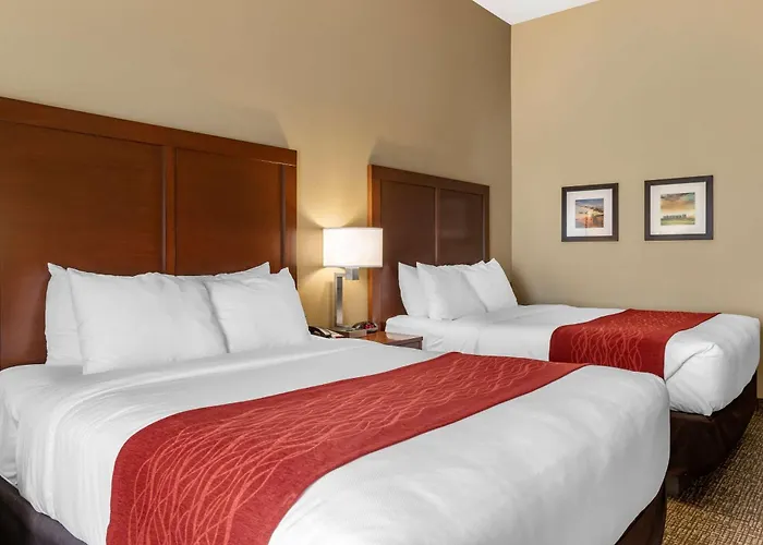 Comfort Inn & Suites Augusta