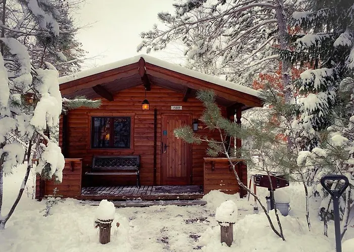 Honeybear Hideaway Cabin