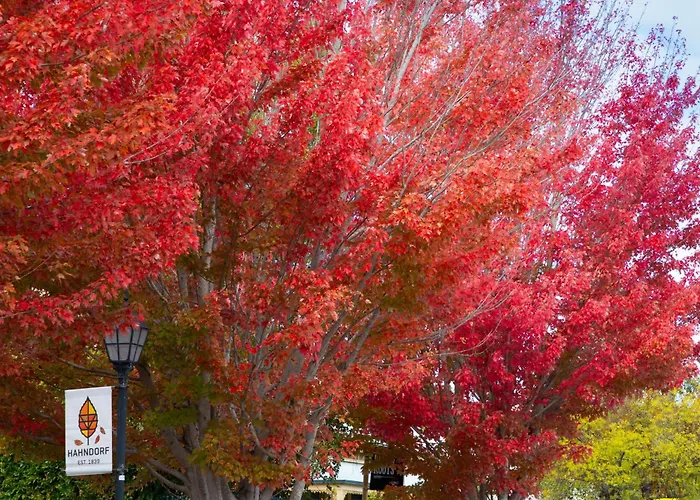 Reisen Hotel Hahndorf