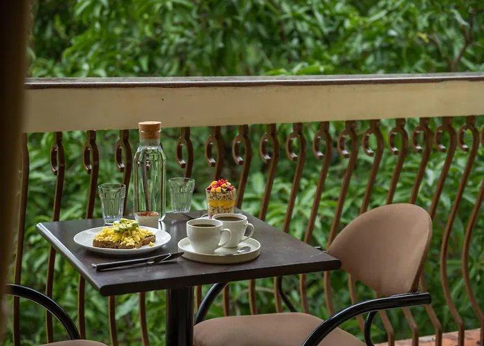 The Palm House - Coworking And Coliving Community