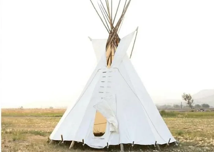 Experience Pet-Friendly Perfection: Classic Tipi Glamping Near Wind River Mountains, Wy