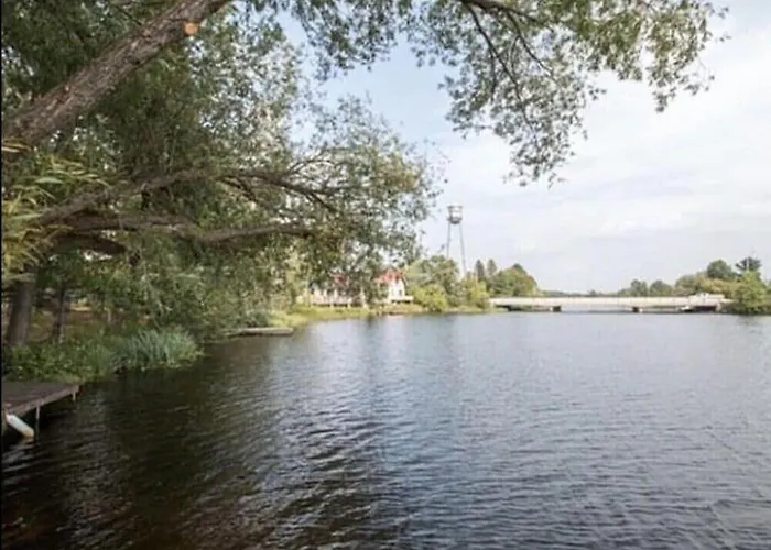 Lakeshore Lily Pad