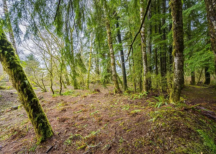 Rainforest Tiny Home Retreat Farm House