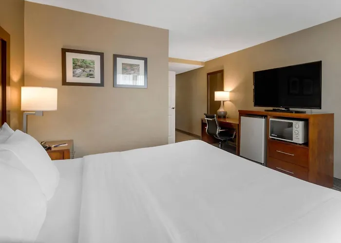 Comfort Inn & Suites Peachtree Corners - Norcross