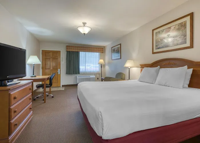 Surestay Hotel By Best Western Leesville