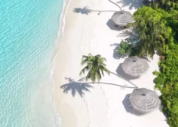 Palma De Maldives
