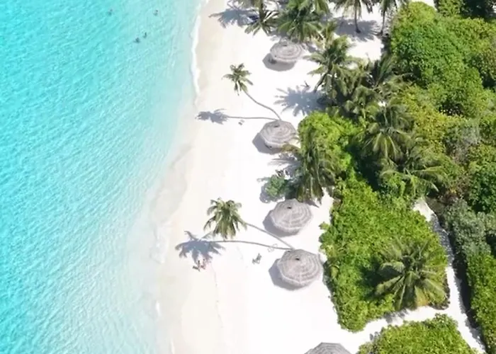 Palma De Maldives