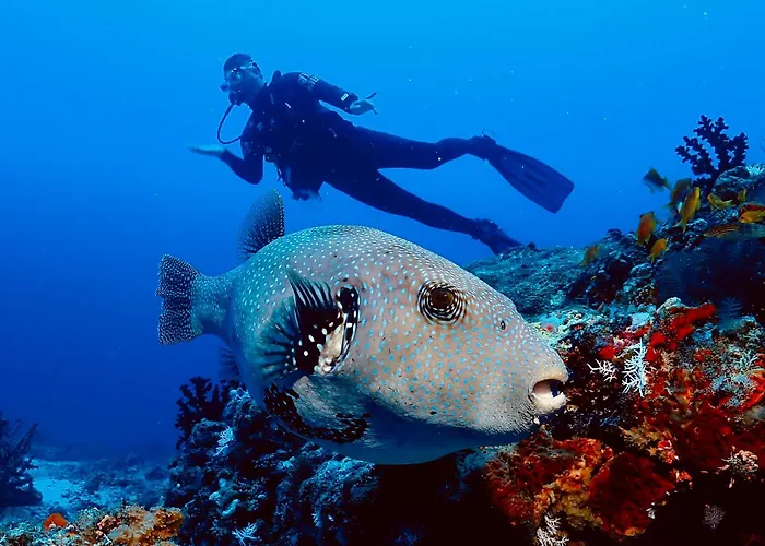Afro Divers Lodge