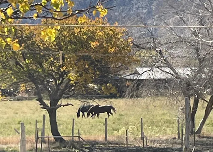 The Desert Farm