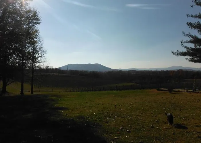 Dog Friendly Vineyard Cabin