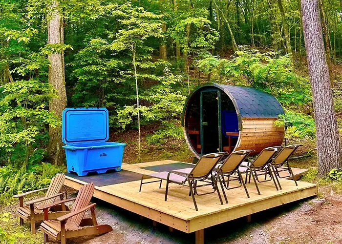 Dreamy Treehouse Getaway Dog Friendlydisc Golf