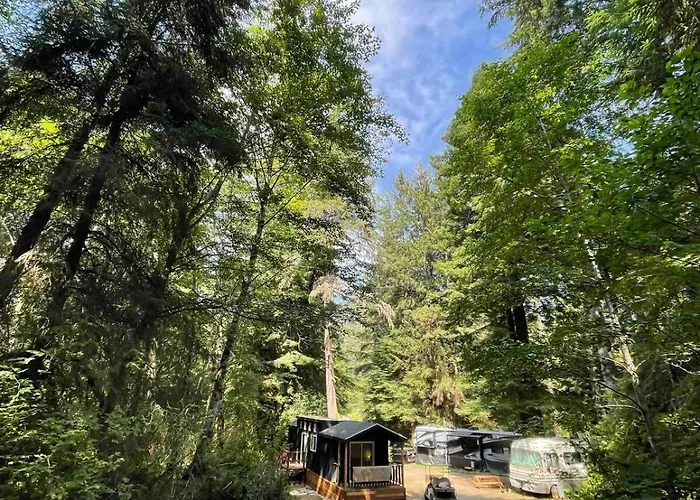 The Black Bear Cabin