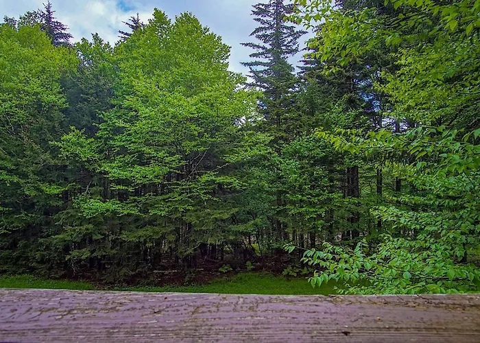 Tree Top 27 Mountaineer 3 Bedroom Condo Slope Side