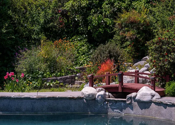 Newly Remodeled Home W Pool & Private Back Yard