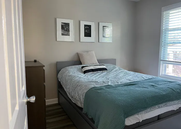 Cozy Condo In Beautiful Historic Neighborhood