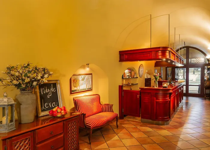 Hotel U Leva