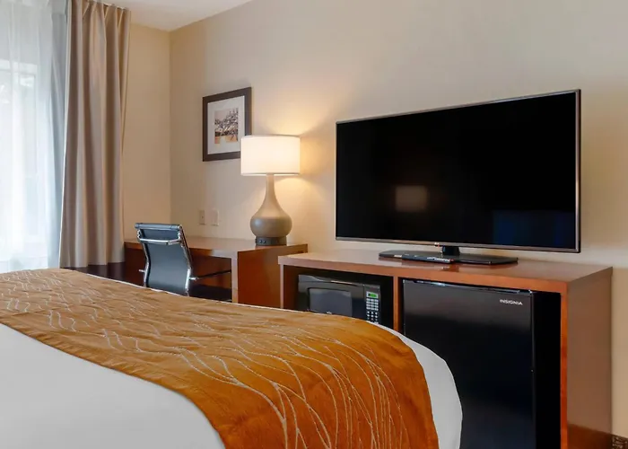 Comfort Inn & Suites Wilkes Barre - Arena