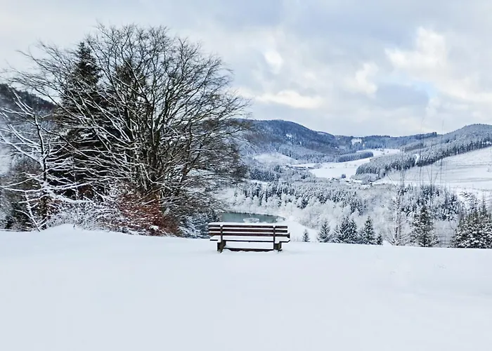 Panorama Hotel Winterberg
