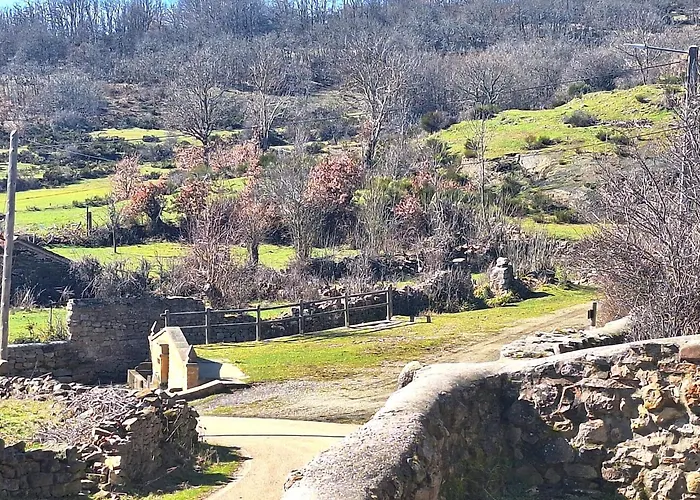 Oceano Verde