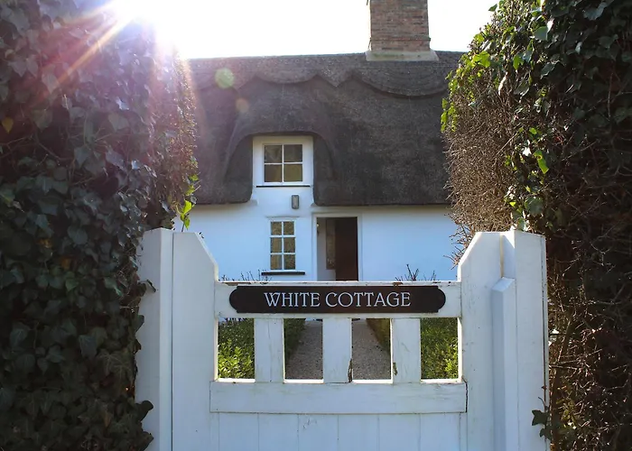 The Elm, Abbots Ripton