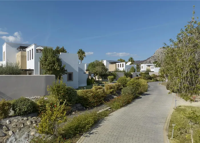Curio Collection By Hilton Rhodes. Greece