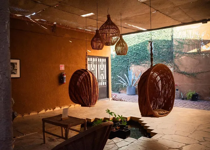Niyana Oaxaca
