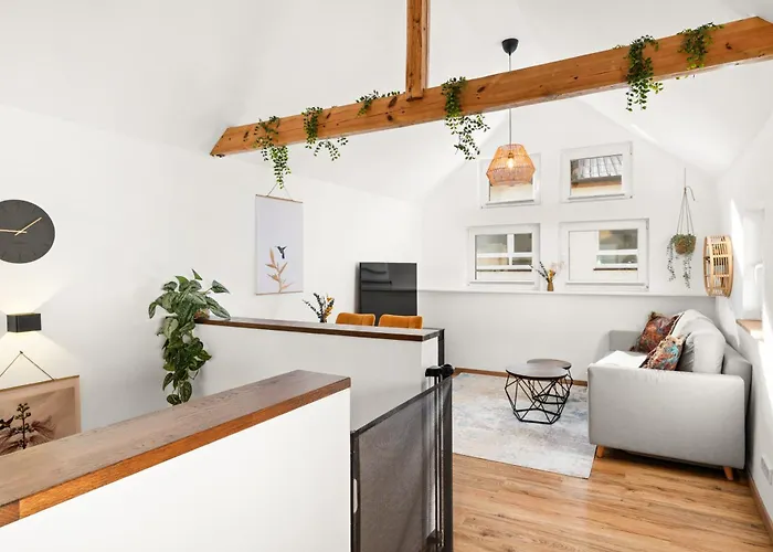 Kolibri - Design Maisonette - Nintendo Switch, Streaming, Bikestore, E-Wallbox