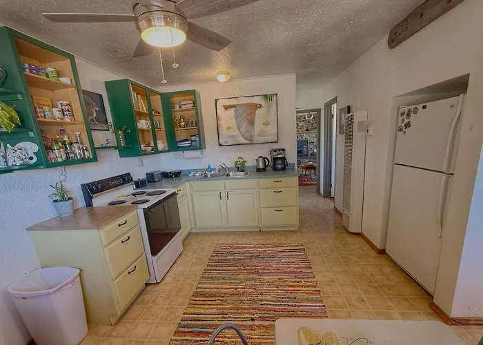 King Bear Mokee Pets Ok, Shared Kitchen! #4