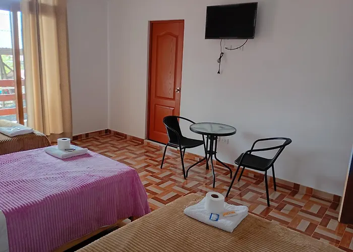 Oso Del Bosque Hoteles