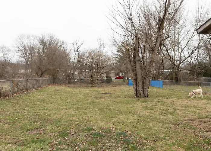 Dog-Friendly Home W Fenced Yard Nr Berea College