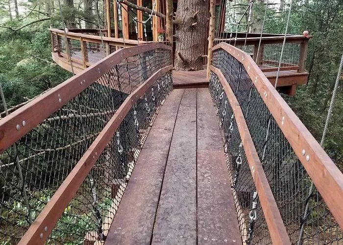 Secluded Treehouse Hideaway With Firepit And Forest Views In Bodega Bay, California