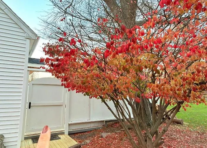 Maine - New England Charming Cottage 4 Min From Portsmouth