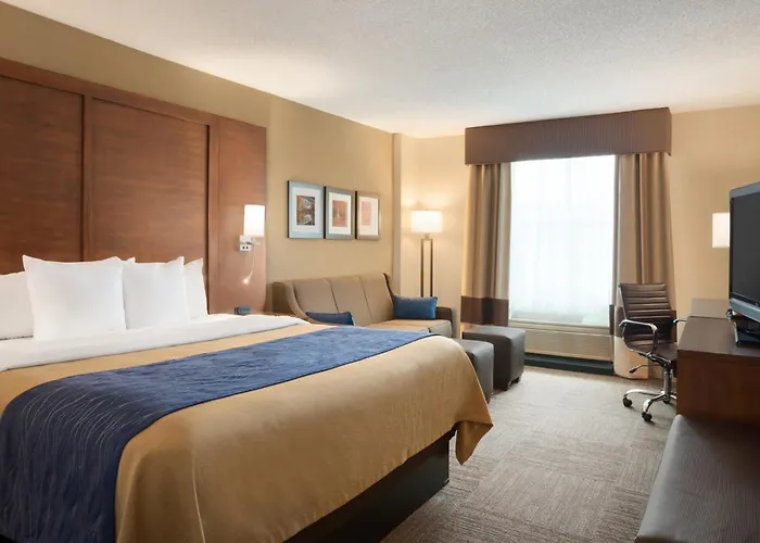 Comfort Inn & Suites Presidential