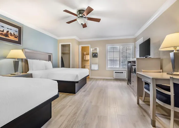 Best Western Tradewinds