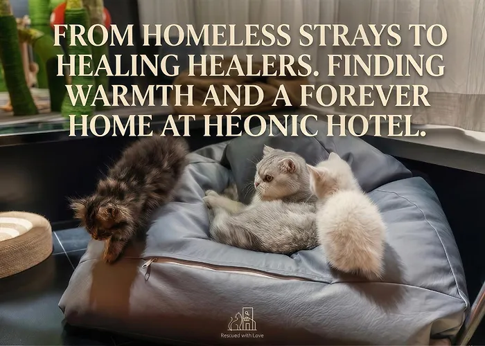 Heonic Art Residence & Suites丨 Signature Family Suites - Free Laundry Luggage Storage -24H Front Desk - Cat Cafe