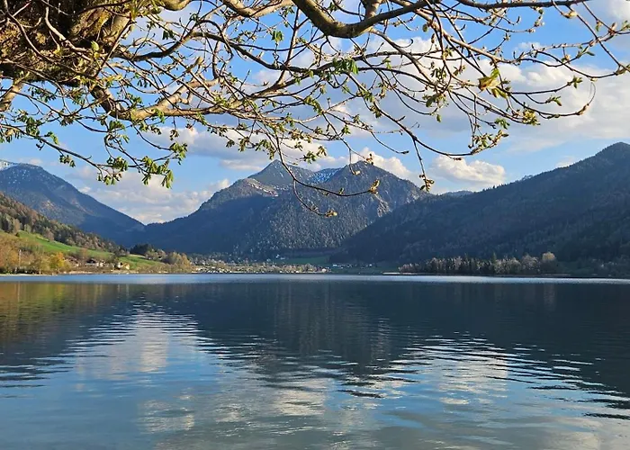 Ferienwohnungen am See - Hinterseer