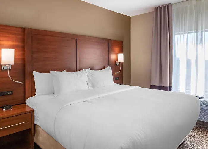 Comfort Inn & Suites Clarkston Pine Knob Area
