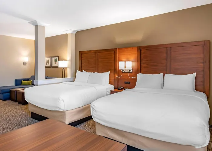 Comfort Inn & Suites Clarkston Pine Knob Area