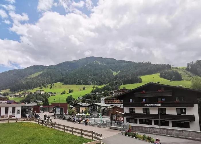 Hotel Pinzgauerhof by Skinetworks