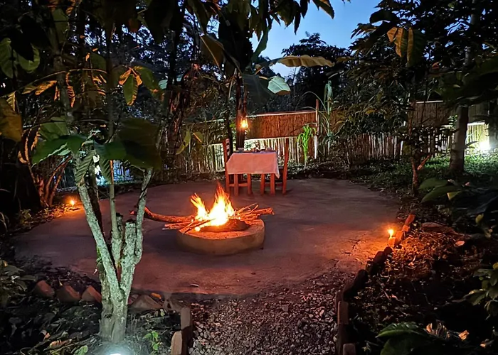 Little Monkey Camp