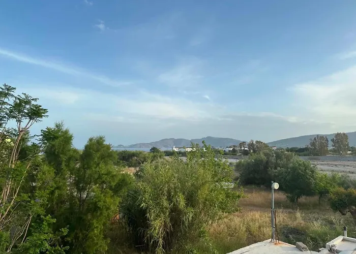 Zografos 1