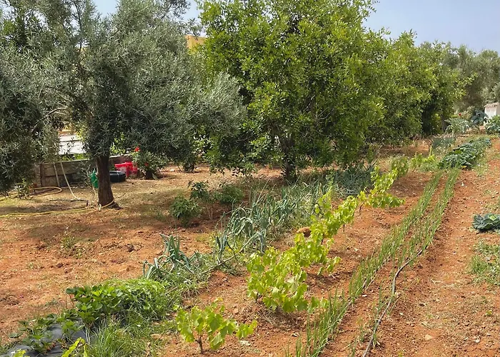 Hotel Rural Quinta Do Marco - Nature & Dining