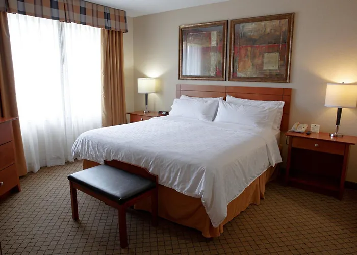 Holiday Inn Battle Creek By Ihg